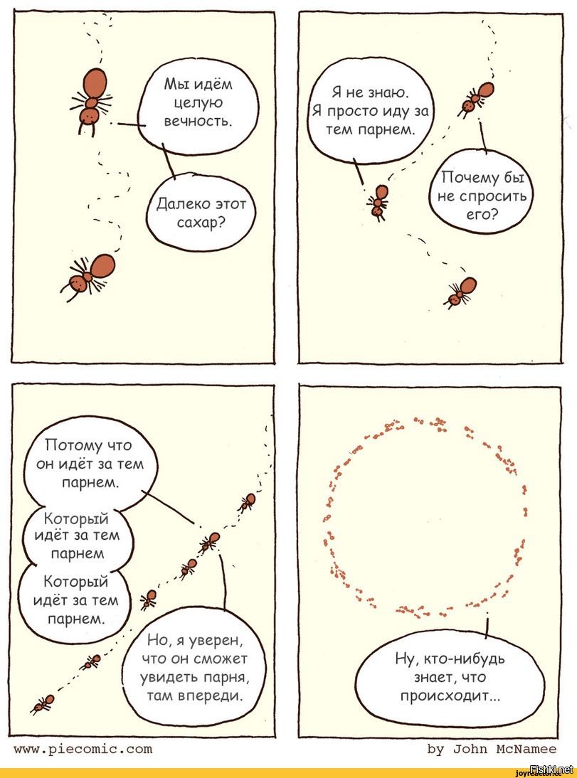 Шутки про муравья