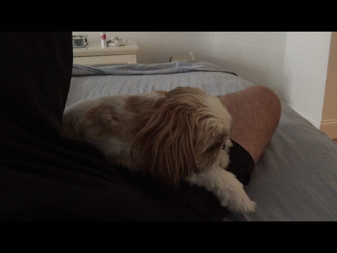 Ничего не заметил