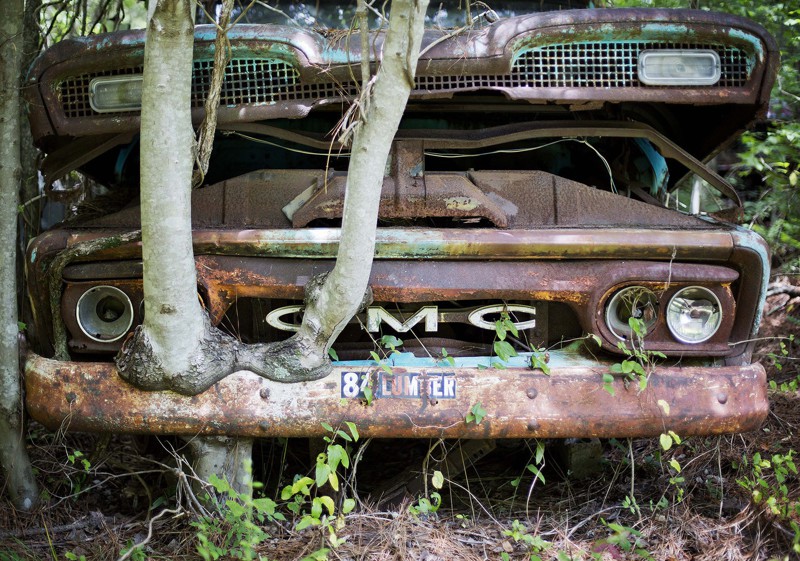 Самое большое кладбище автомобилей в мире медленно превращается в лес