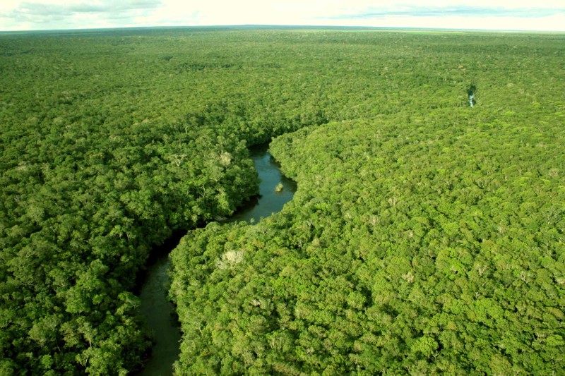 Древняя Амазония оказалась цветущим садом с многомиллионным населением