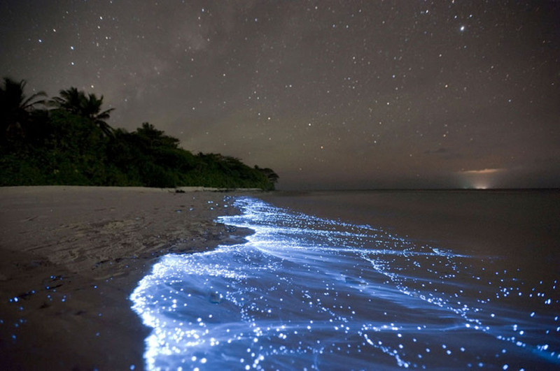 Море Звезд. Остров Ваадху, Мальдивы