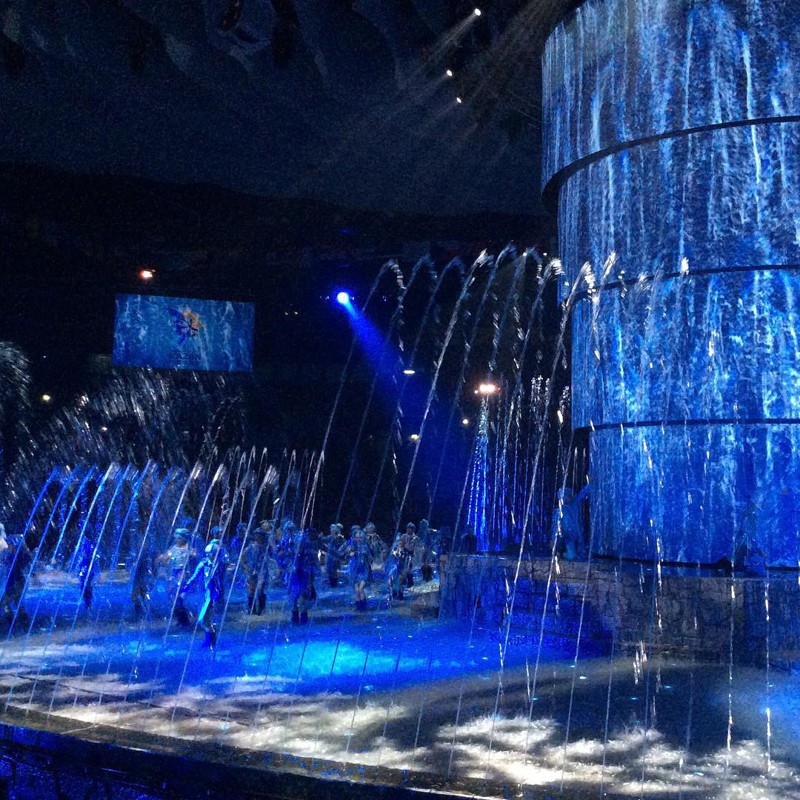 Чемпионат мира по водным видам спорта: церемония открытия и моменты соревнований