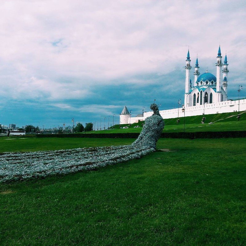 Как выглядит Казань на снимках из Instagram* в дни чемпионата мира по водным видам спорта 