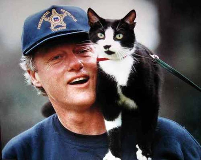 Американский экс-президент Билл Клинтон с котом