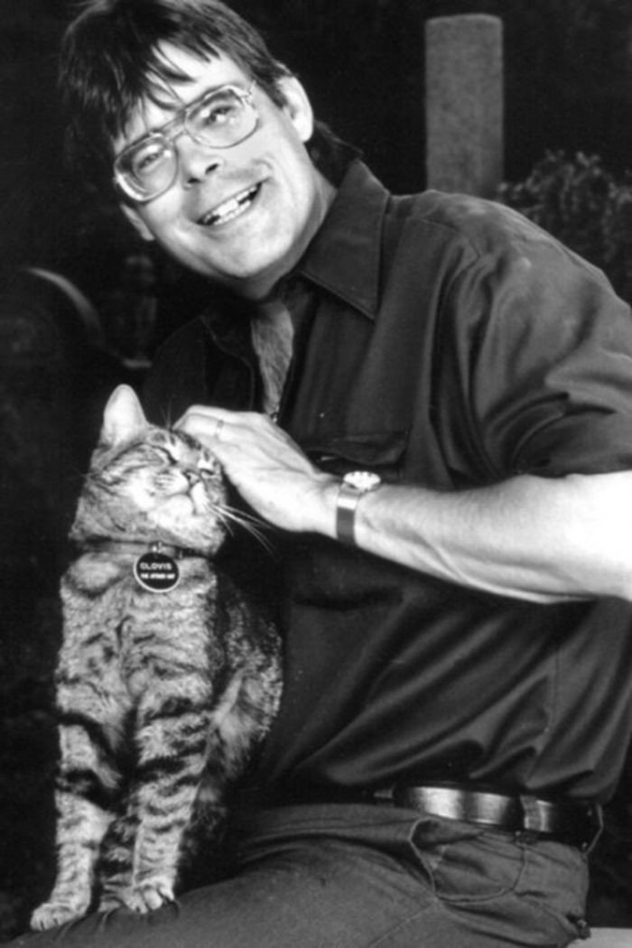 Мастер книжного ужаса Стивен Кинг и его «неадова» кошка