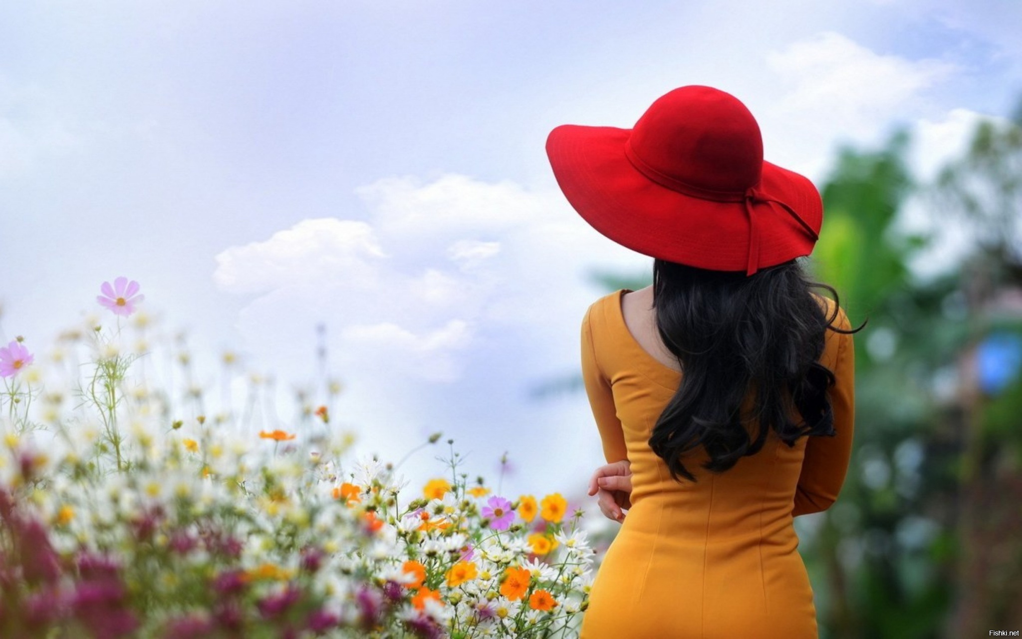 Картинки на ватсап красивые. Женщина в шляпе со спины. Девушка в шляпе сзади. Цветы и девушка со спины. Красивые женщины в шляпах со спины летом.