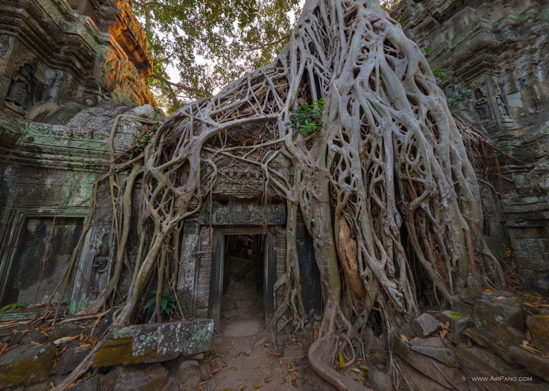 Храм Та-Пром, Ангкор, Камбоджа