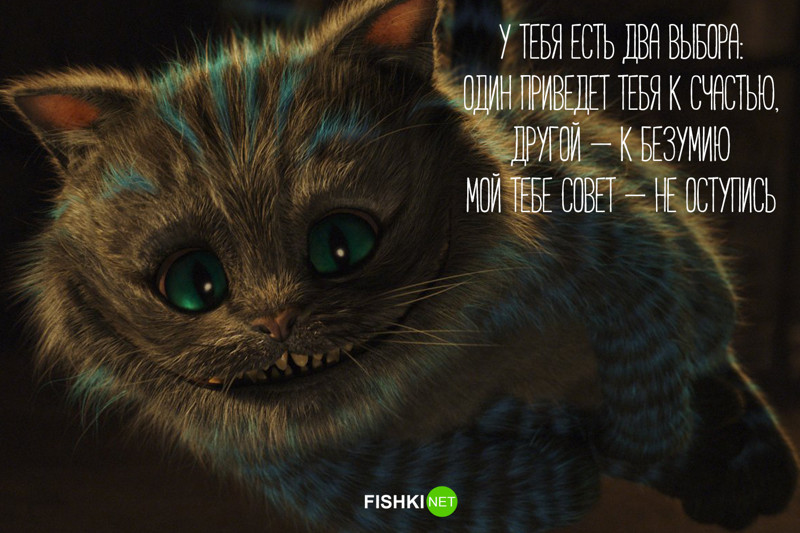 12 философских цитат Чеширского кота