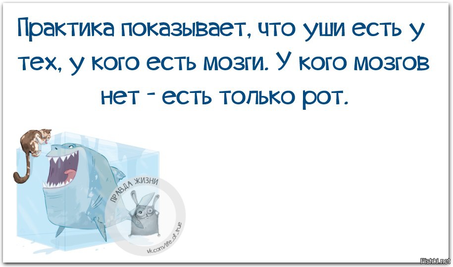 Практика показывает что чем больше. Практика показывает что уши есть у тех у кого есть мозги. У кого нет мозга. Если нет мозгов. Если мозгов нет лопатой не накидаешь.