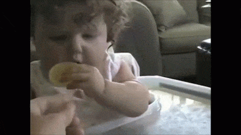 20 гифок с забавными малышами наполнят ваш день позитивом