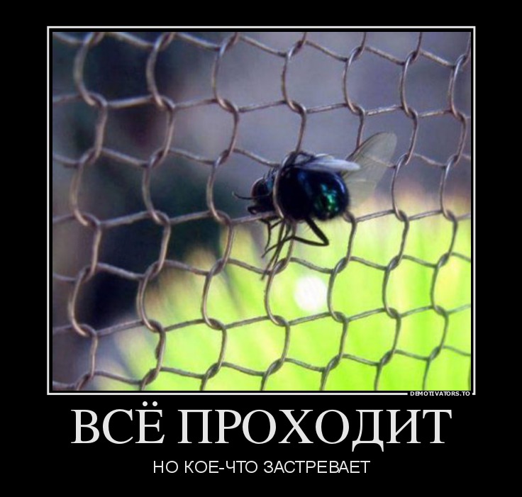 Подборка демотиваторов 