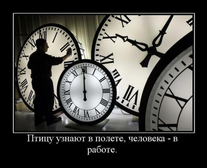 Подборка демотиваторов 