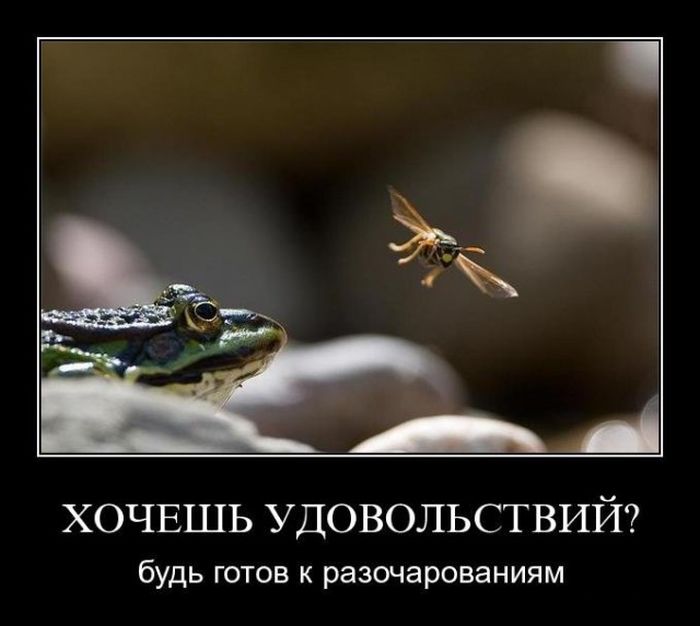 Подборка демотиваторов 