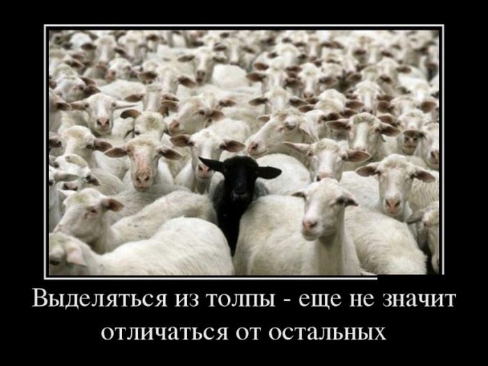 Подборка демотиваторов 