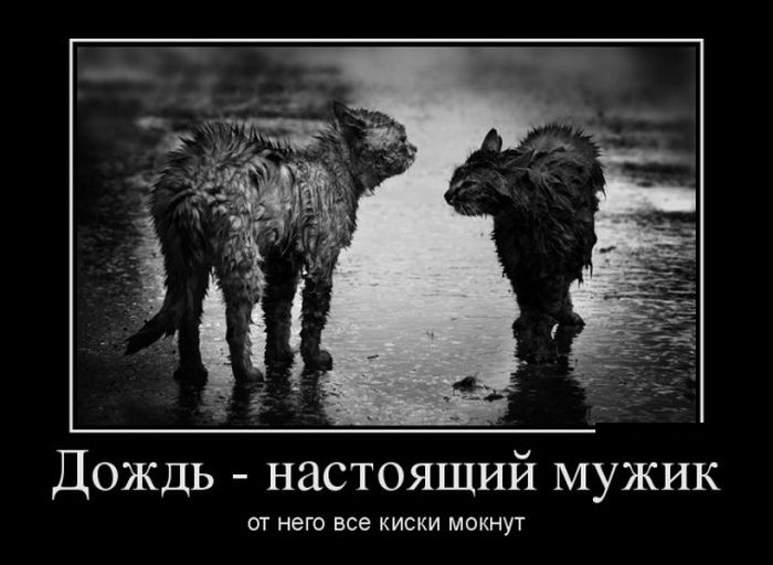 Подборка демотиваторов 