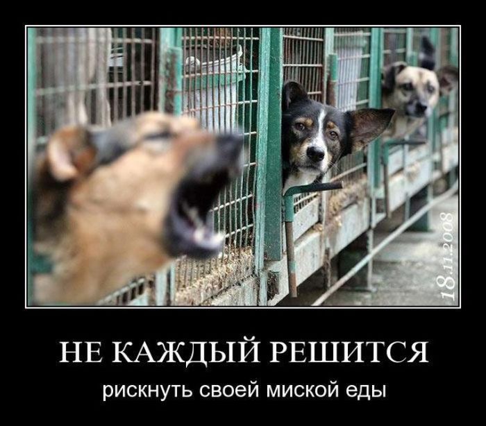 Подборка демотиваторов 