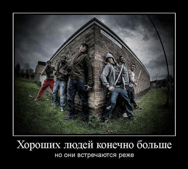 Подборка демотиваторов 