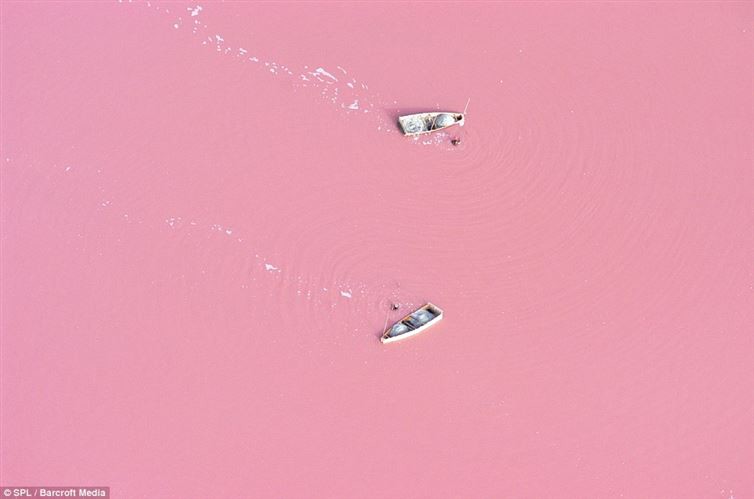 9. Розовая река