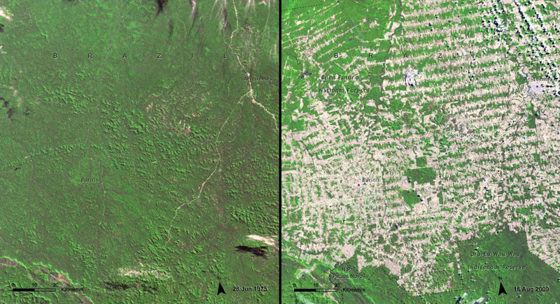9. Вырубка лесов в Бразилии. На фото 1975 и 2009 год