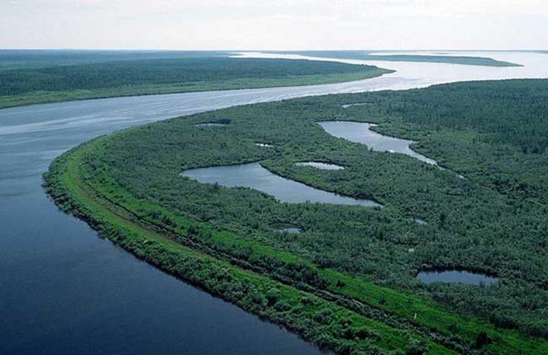 Западно сибирская равнина фото