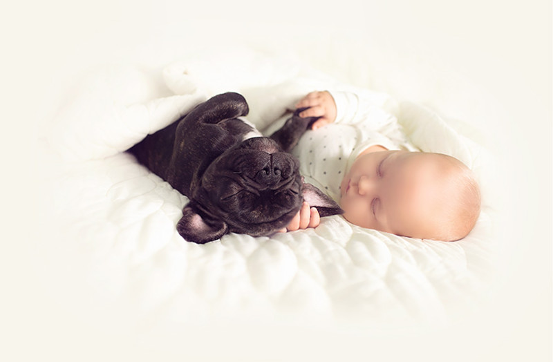 Младенец и бульдог, родившиеся в один день, дружат крепче, чем братья дети, дружба, животные, собаки