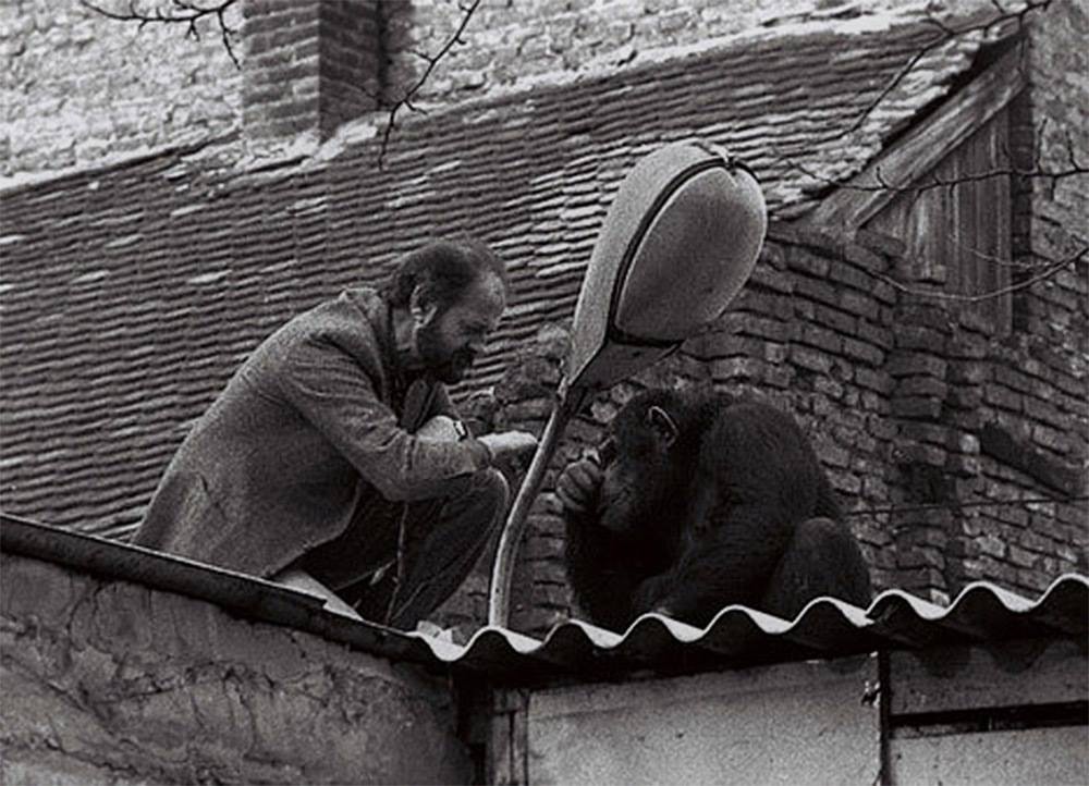 1988 год в фотографиях