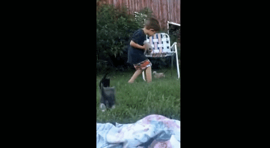 Посмотрите, как мужественно Райдер "спасает" котят от газона!