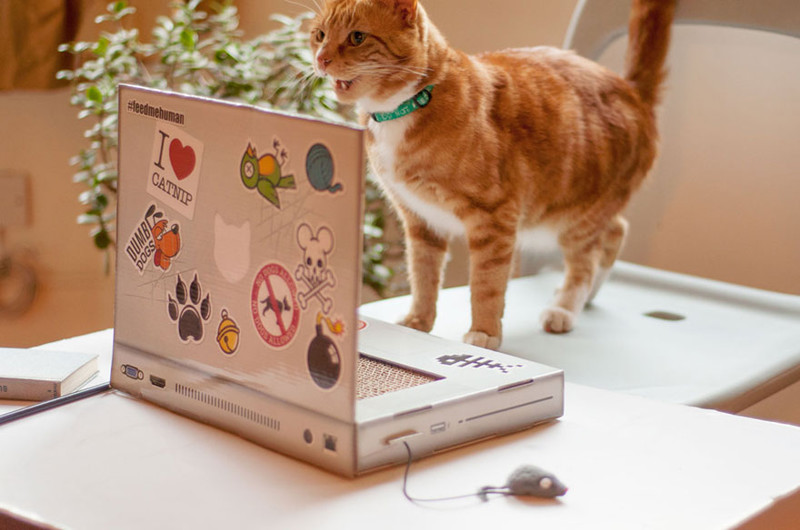 Ноутбук для кошек!