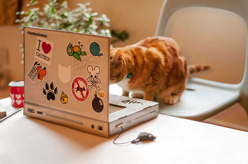 Ноутбук для кошек!