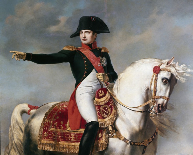 14. Наполеон — кошки и белые лошади.