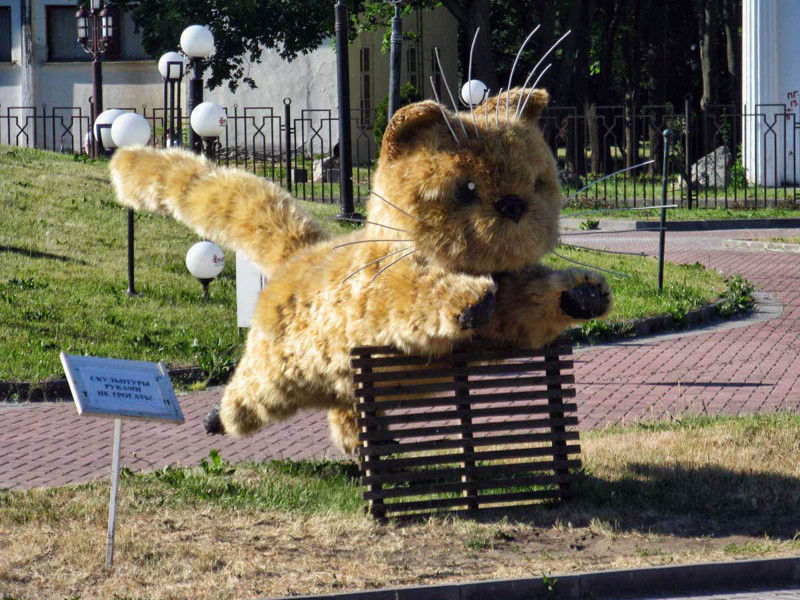 Симпатичная статуя котёнка из пушистых стебельков дикого ячменя