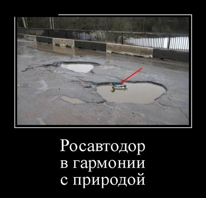 Подборка демотиваторов, которые поднимут вам настроение!