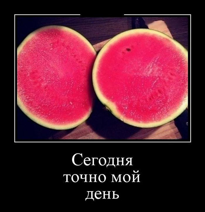 Подборка демотиваторов, которые поднимут вам настроение!