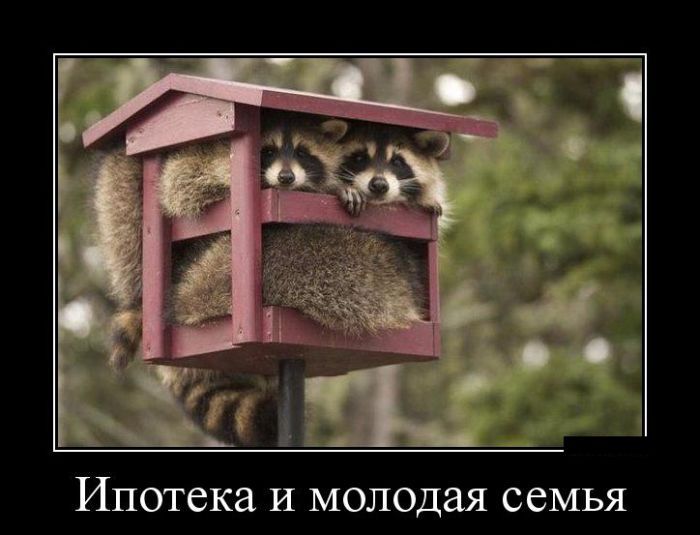 Подборка демотиваторов, которые поднимут вам настроение!