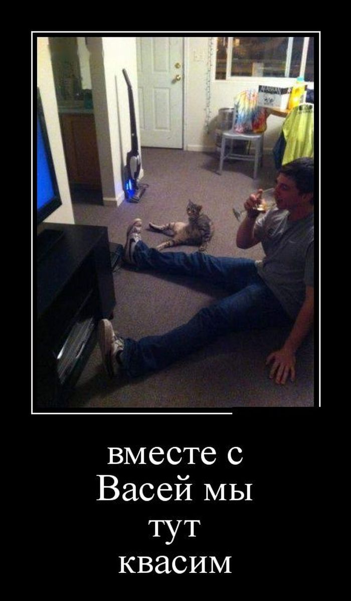 Подборка демотиваторов, которые поднимут вам настроение!