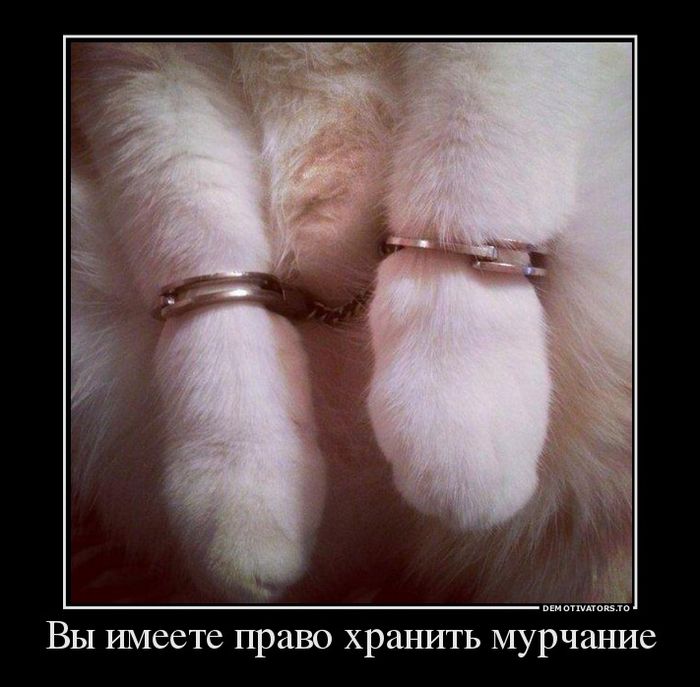 Подборка демотиваторов, которые поднимут вам настроение!