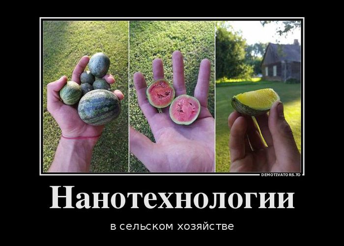 Подборка демотиваторов, которые поднимут вам настроение!