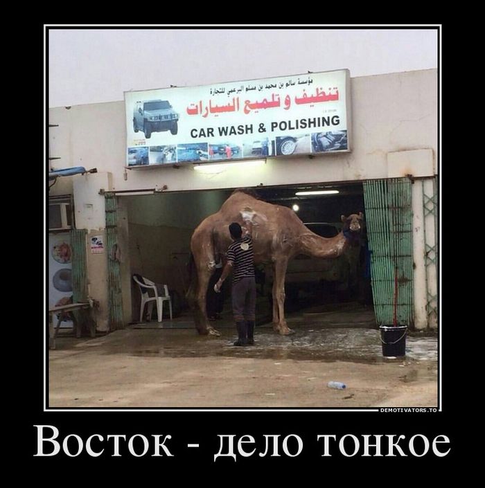 Подборка демотиваторов, которые поднимут вам настроение!