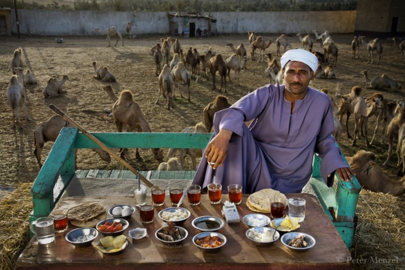 Сале Абдул Фадлилли, продавец верблюдов из Каира, Египет.