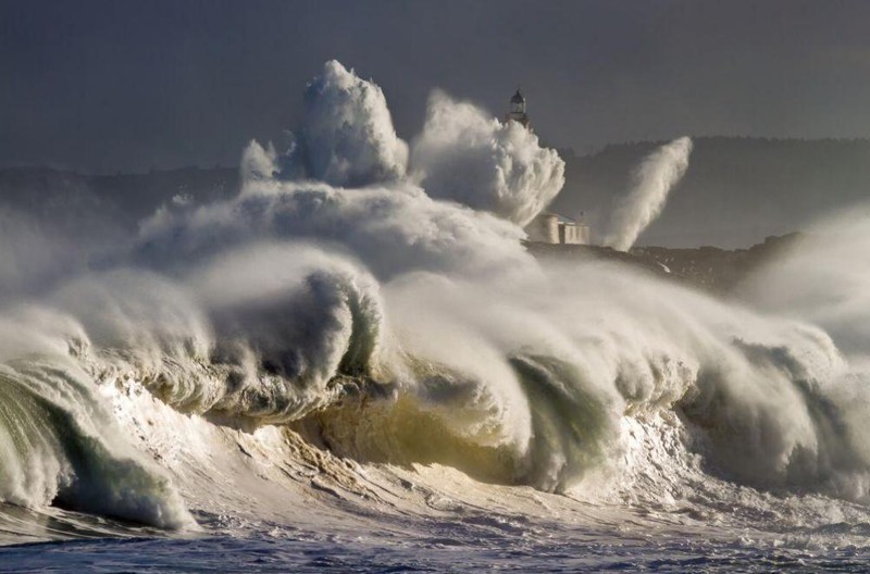 Лучшие фотографии 2015 года по версии National Geographic