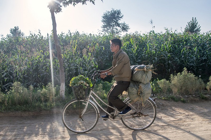 Мужчина везет овощи на своем велосипеде в Нампхо, в 50 км к юго-западу от Пхеньяна