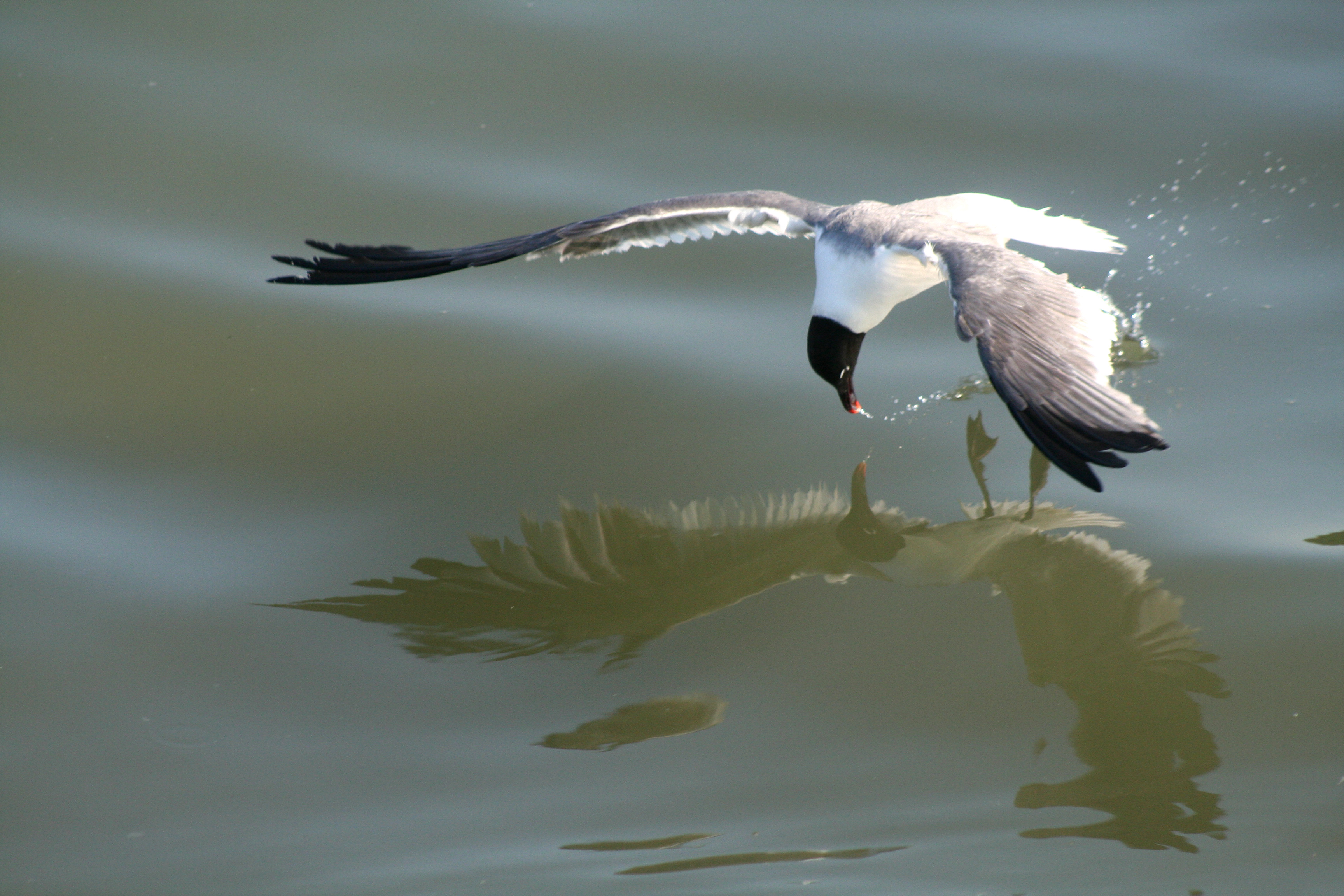 Фотоподборка за 28.08.2015
