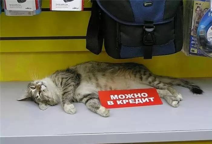 Фотоподборка за 28.08.2015