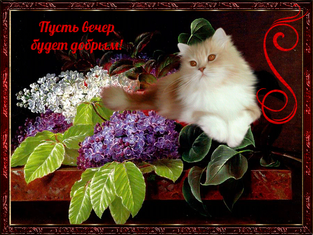 Желаю доброго вечера!