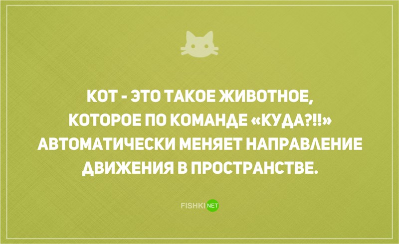 20 открыток о том, что без кота и жизнь не та