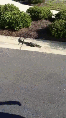 Просто проходи мимо