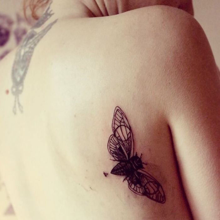 Красивые татуировки дикой природы от художника Шайенна природа, тату, татуировки