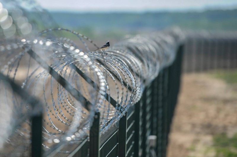 Проблема мигрантов в ЕС Венгрия воздвигла разграничивающие стены 