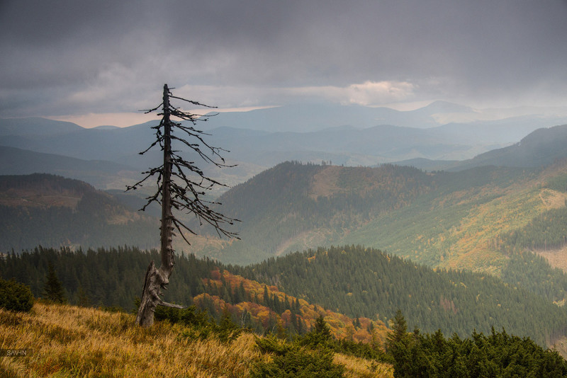 Крымская осень