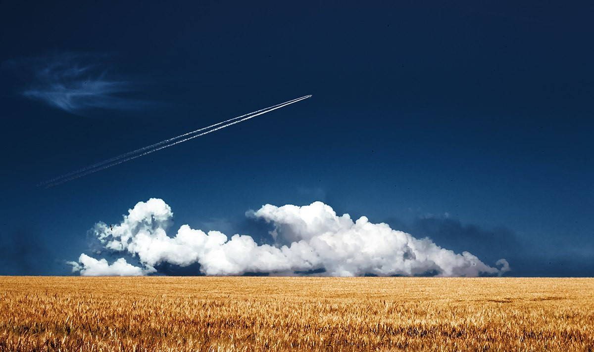 Последовательность над полем. Самолет над полем. Поле и небо. Летает над полями. Кукурузник над полем.